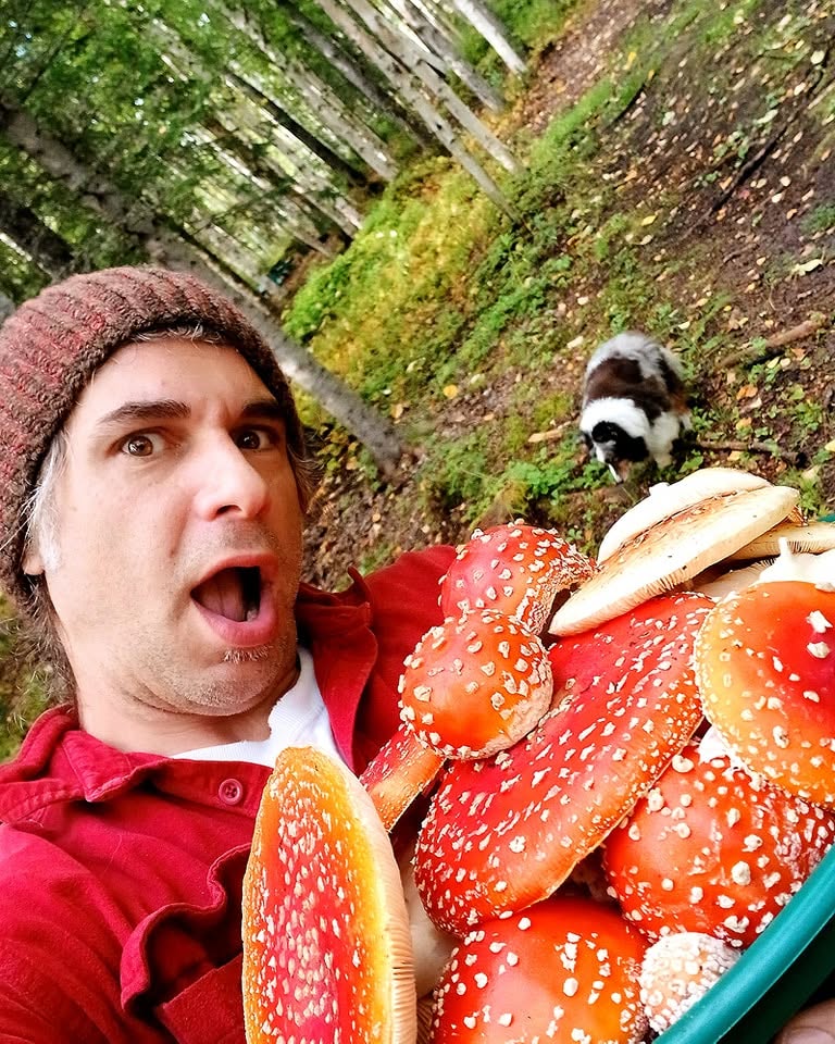 Russ foraging for wild Alaska mushrooms